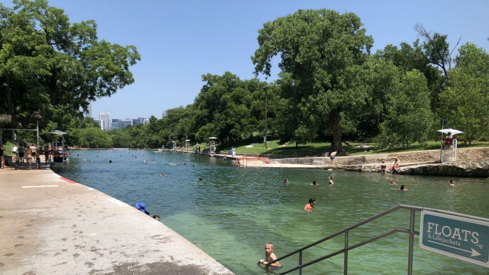 are dogs allowed at barton springs