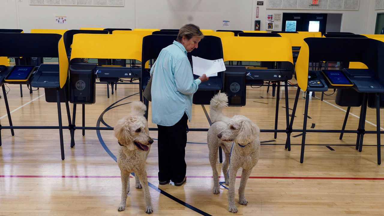 LA County releases updated results from Tuesday's election - Vimarsana News