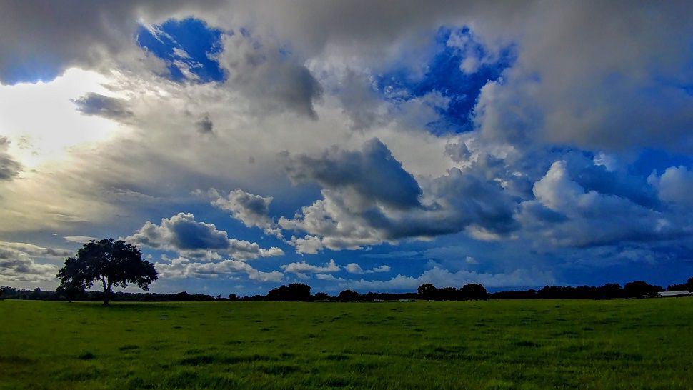 meadow with clouds