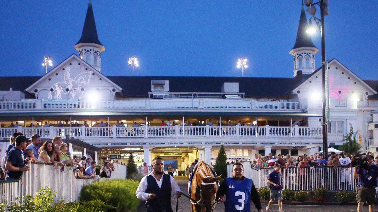 The Gun Runner in the Paddock of Churchill Downs on June 17, 2017. (Churchill Downs)