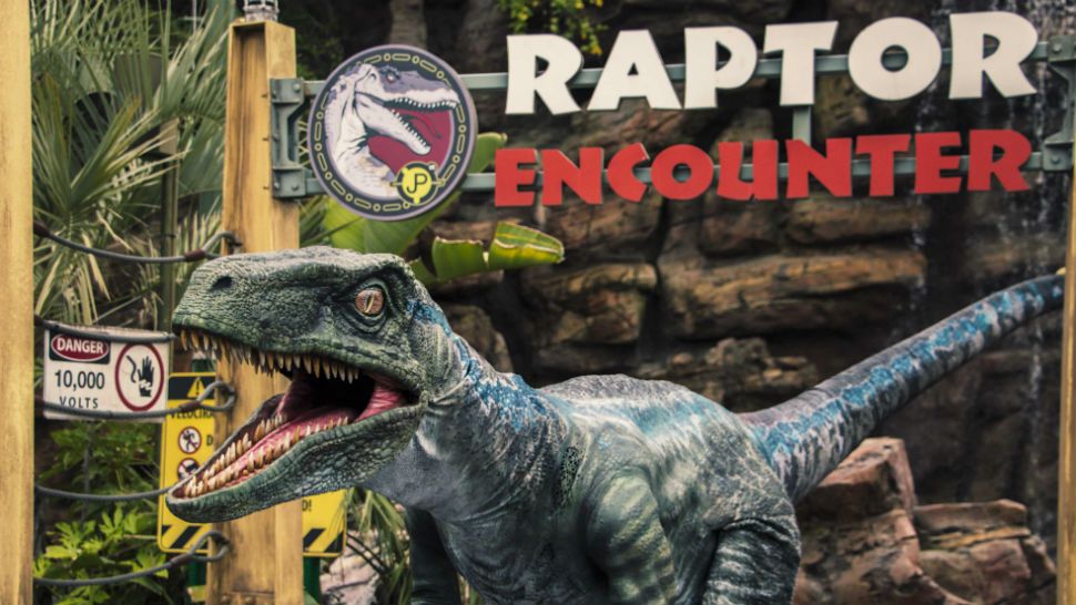 Blue, the raptor from Jurassic World has joined Universal Orlando's Raptor Encounter. (Universal)