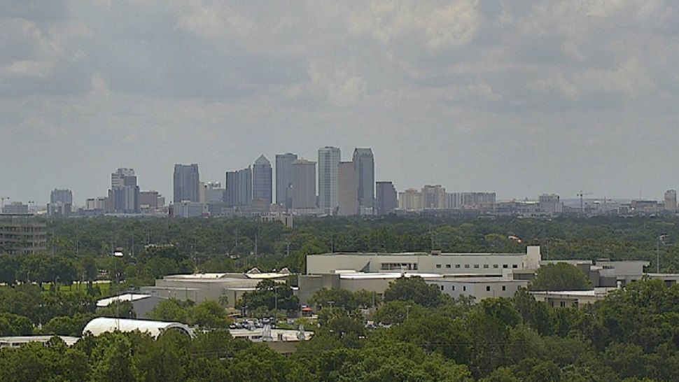 The Tampa area added 31,900 new jobs in the past year.