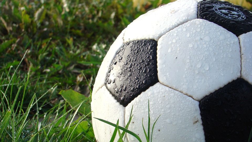 Soccer ball in the grass