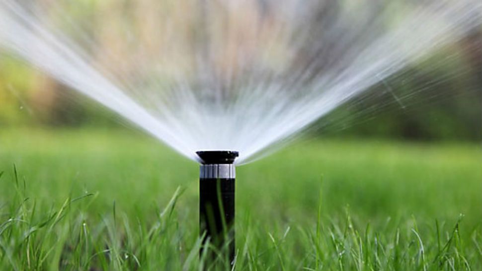 A sprinkler head appears in this undated file image. (Spectrum News/File) 