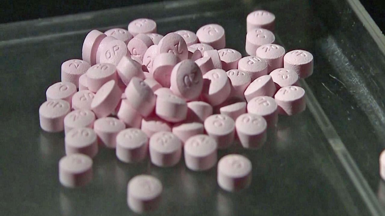 State says a rise in substance abuse is causing kids to be removed from their homes. (Bay News 9 Staff) 