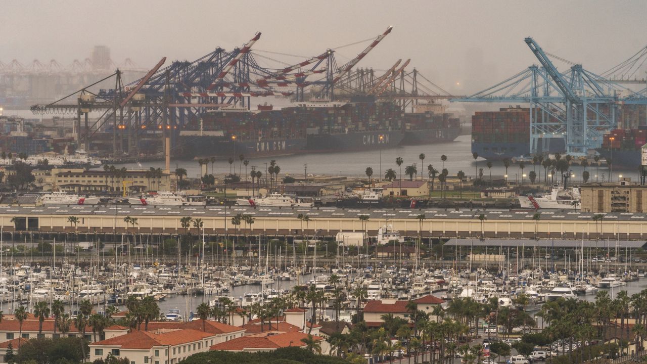 Container cargo ships are seen docked in the Port of Los Angeles. on March 3, 2021. (AP Photo/Damian Dovarganes) 