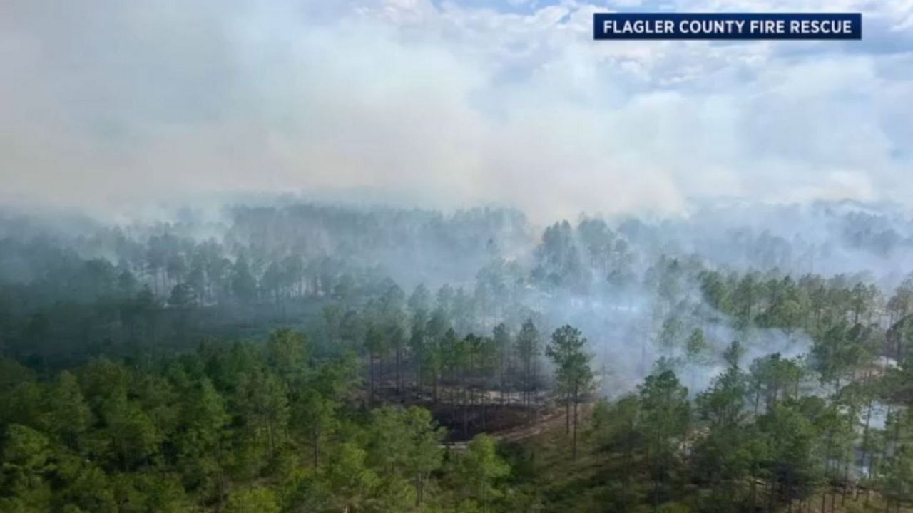 Smoky conditions left by the Clark Bay Conservation area wildfire could make driving conditions dangerous, authorities say. (Courtesy of Flagler County Fire Rescue)