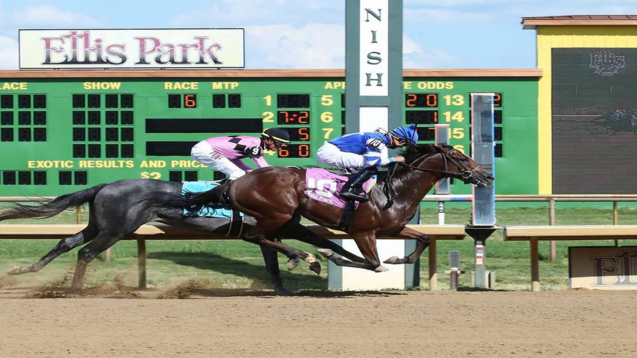 Churchill Downs announced a deal to acquire Ellis Park in Henderson, Ky. (Ellis Park Racing)