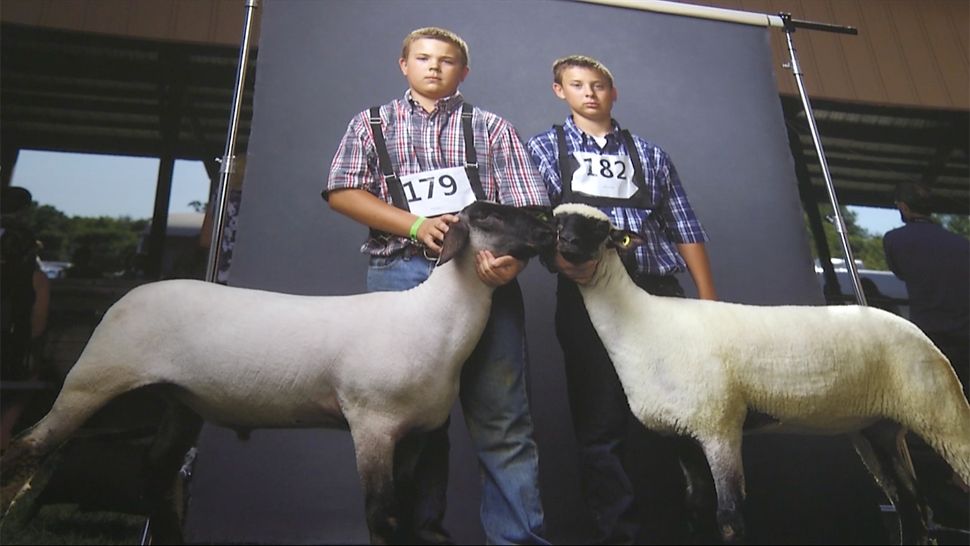 Show Sheep R.J. Kern “Bryce with Freaky Freddie and Nathan with Skittles, Isanti County Fair, Minnesota, 2016, Ed 1 of 10”