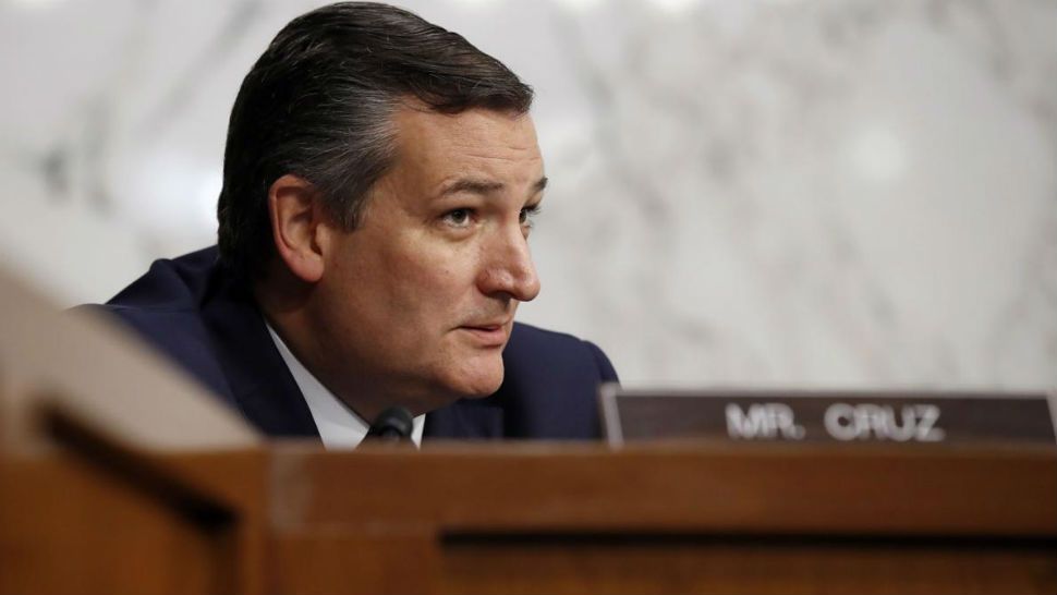 Sen. Ted Cruz listens to an answer to his question of the Department of Justice Inspector General Michael Horowitz and FBI Director Christopher Wrap on Capitol Hill on Monday, June 18, 2019. (AP/Alex Brandon) 