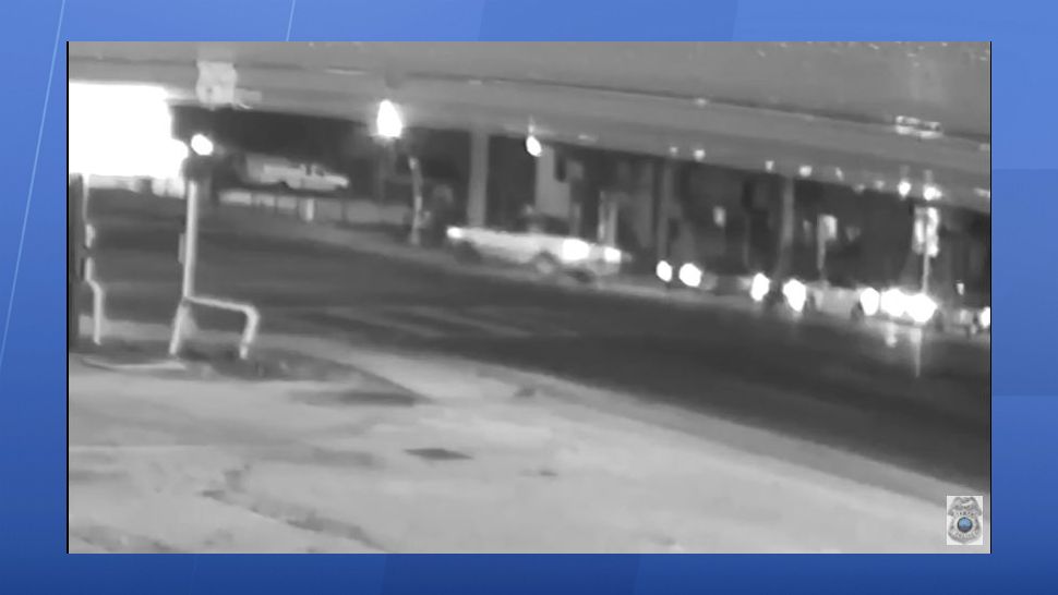 The Tampa Police Department is asking for the public's help in identifying a fatal hit and run suspect. 