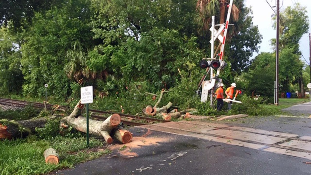 Crews working to clear a tree that fell on train tracks in Kissimmee after severe weather swept over the area on Wednesday, June 19, 2019. (Matt Fernandez/Spectrum News 13)