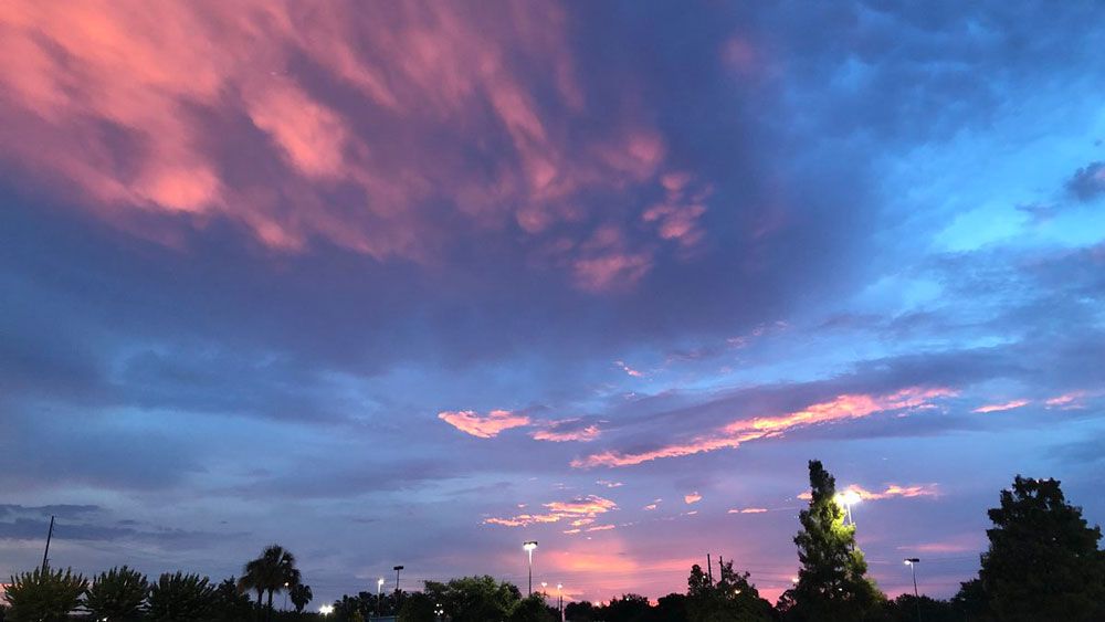 A pink sunset in Seminole County after the evening storms, Wednesday, June 20. (Jeff Allen, Staff)