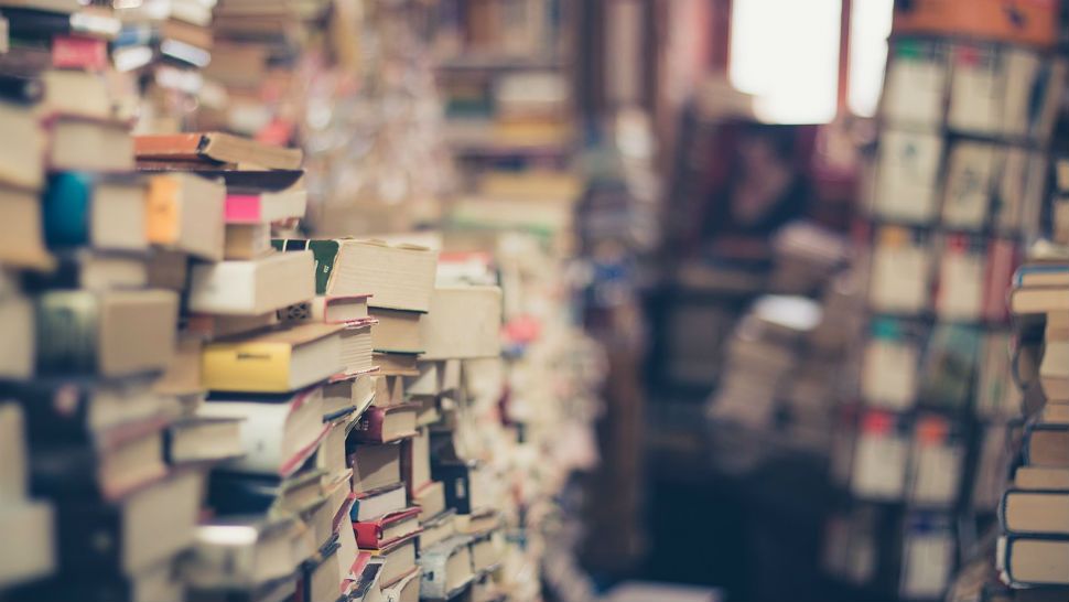 Books stacked on shelves (Spectrum News/File)