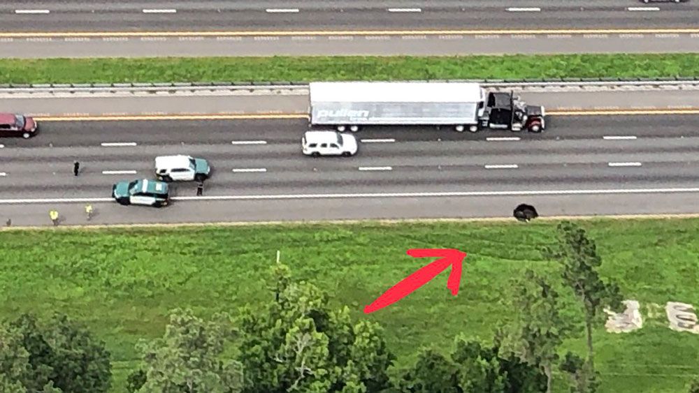 The sinkhole opened up along I-75's southbound lanes near Gainesville. (Alachua County Sheriff's Office)