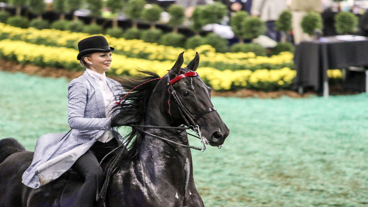 Championship Horse Shoe Returns to Freedom Hall