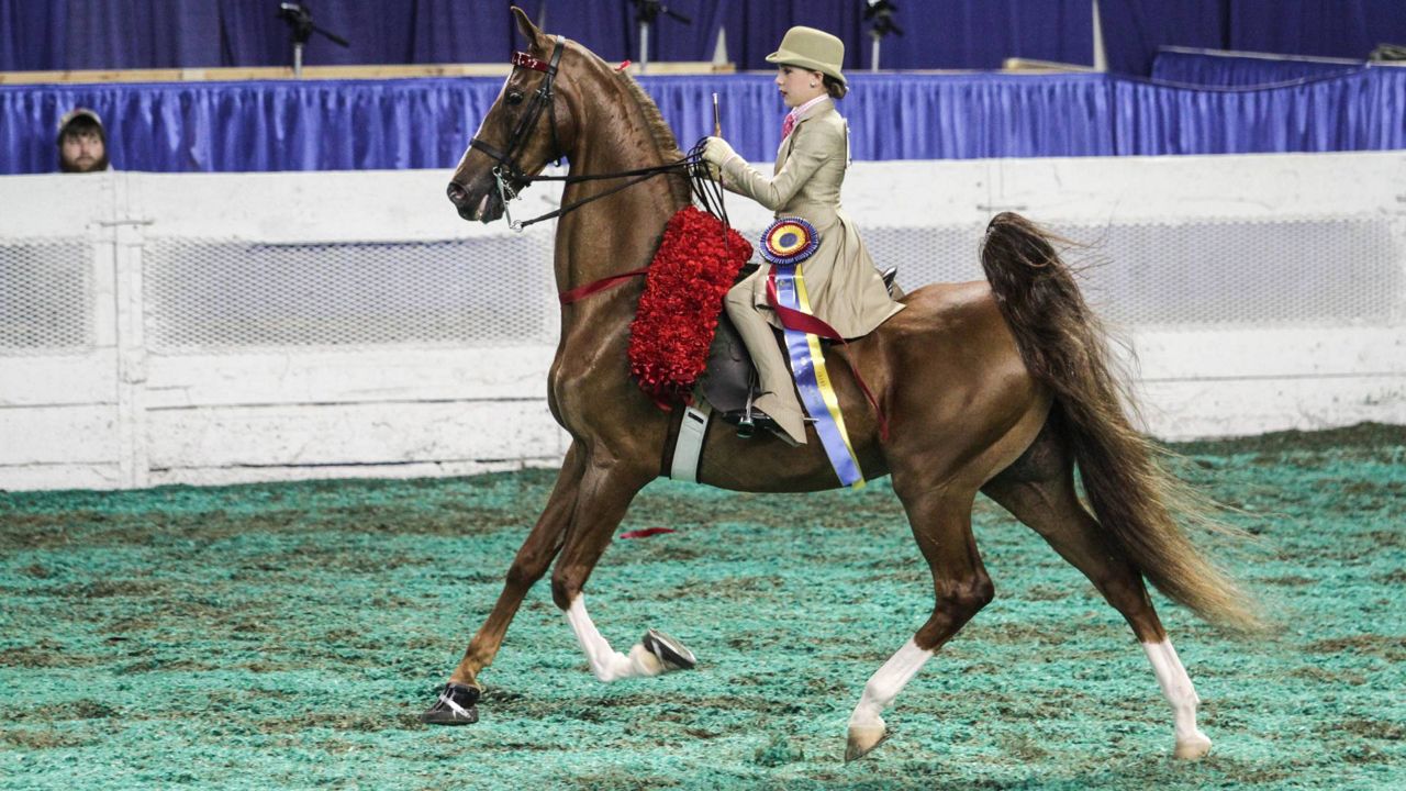 Tickets for World's Championship Horse Show on sale