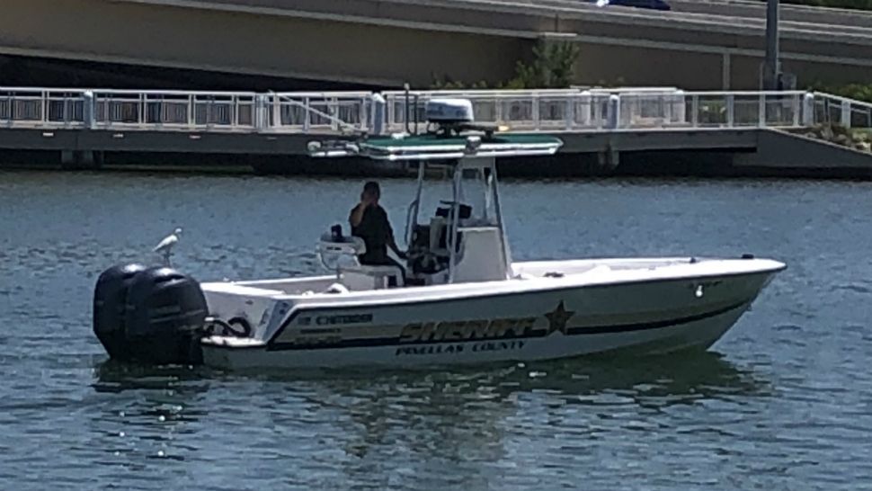Sent to us with the Spectrum Bay News 9 app: Does the Pinellas County Sheriff's Office's Marine Unit have a new recruit? Or just a hitchhiker? (Debbie Bowen/viewer)