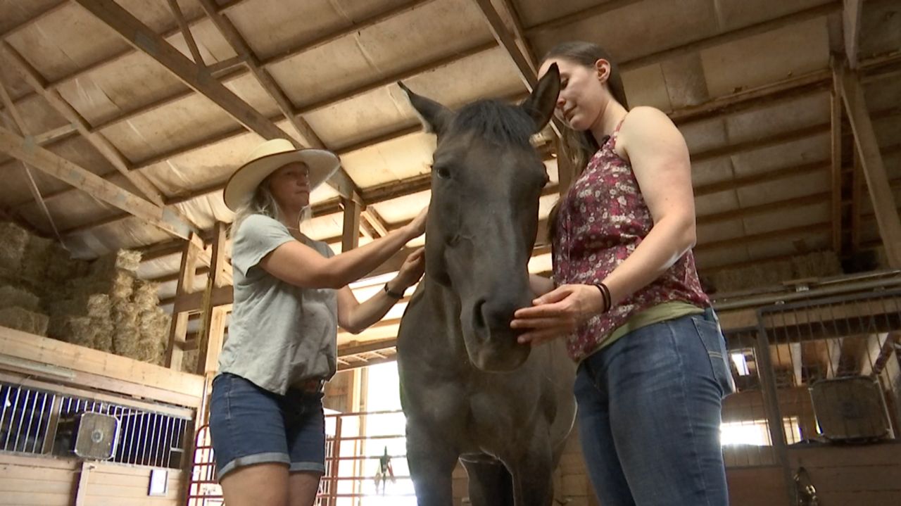 Photo of Stacey Warner usa caballos para enseñar liderazgo