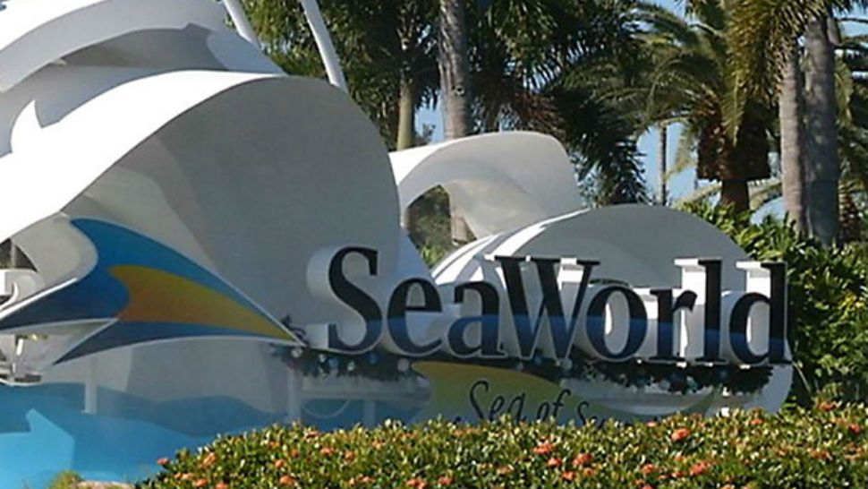 SeaWorld (file)