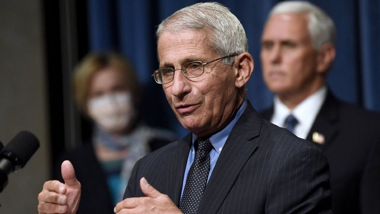 Dr. Anthony Fauci, the nation's infectious disease expert, talks about coronavirus at the briefing Friday. (AP)