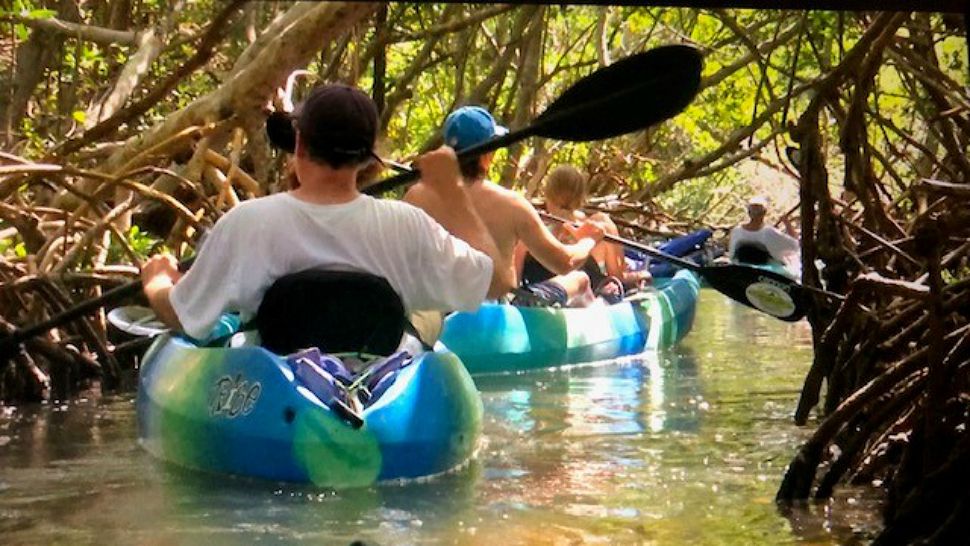 Florida on a Tankful Lido Key Mangrove Tunnels