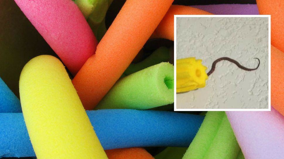 Top right: Image shared by the Buckeye Fire Department of the found snake near the noodle. Background: File photo of pool noodles. 