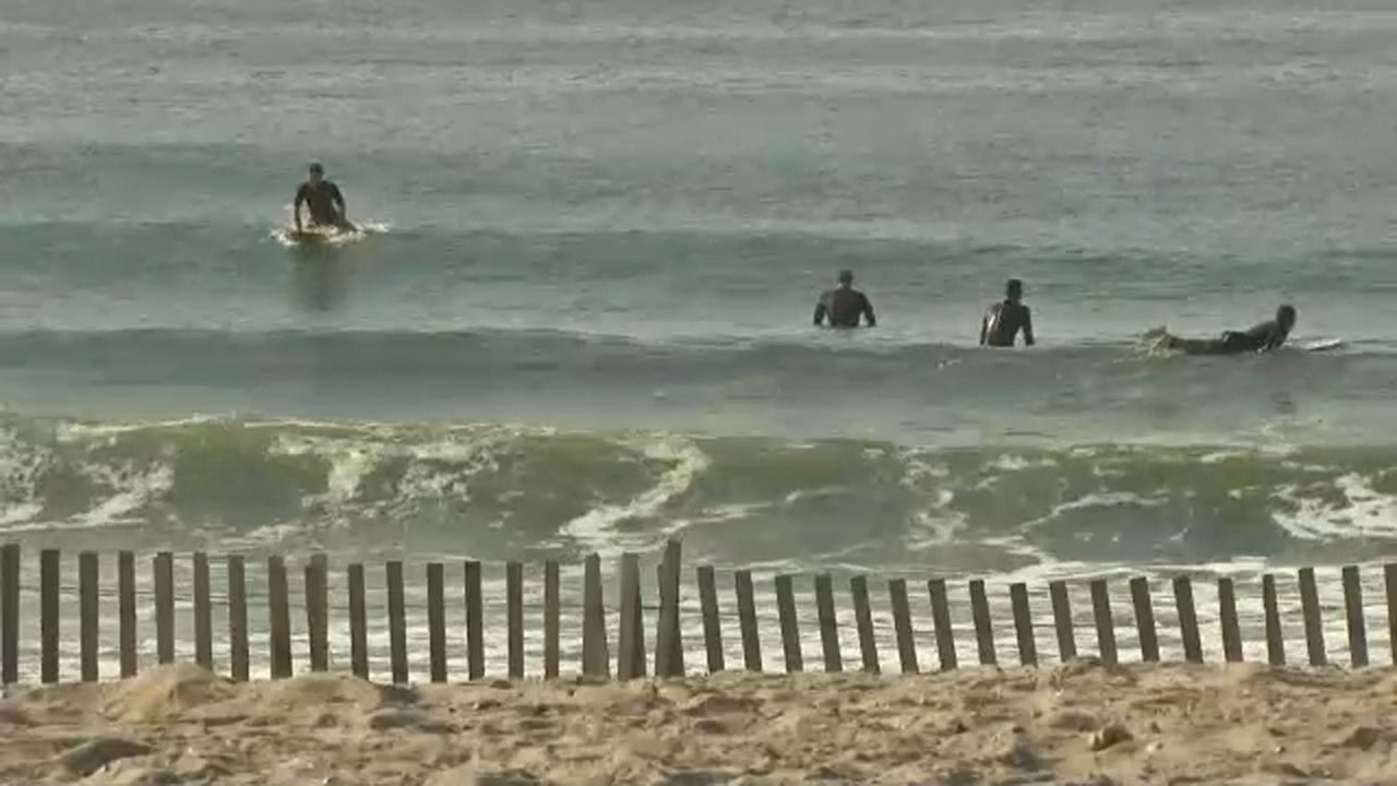 Four people in water near a beach shore.