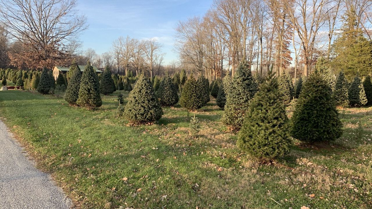 Hudson Valley Trees For Troops