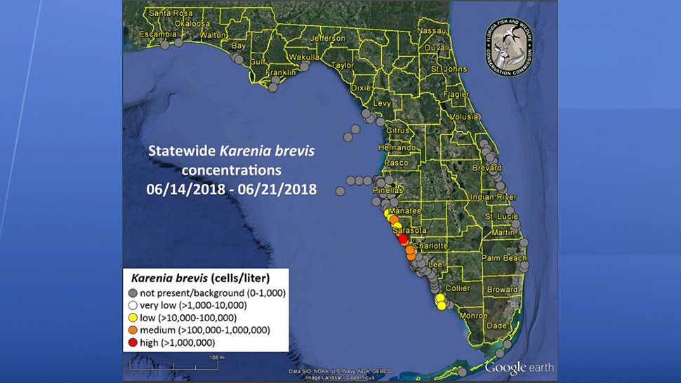 Lately red-tide status map. (Florida Fish and Wildlife Conservation Commission)