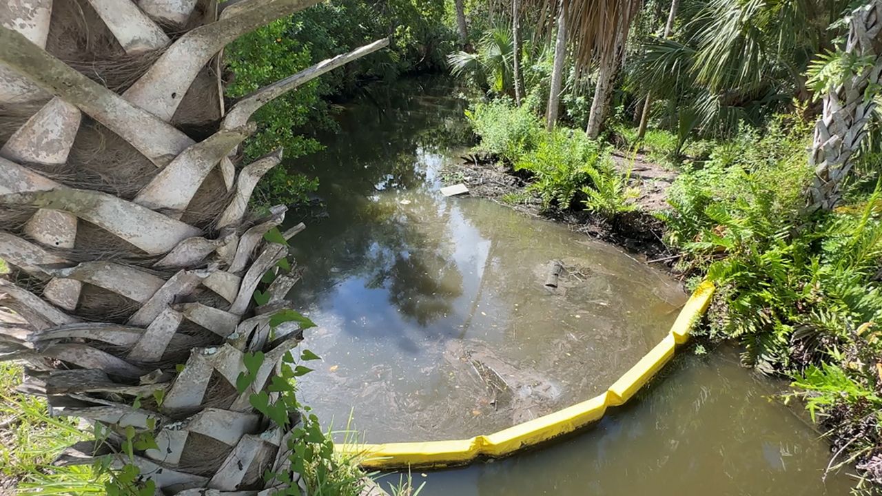 The New Smyrna Beach City Commission is looking to buy around 27 acres of land. The goal is to meet the objectives of the 2018 $15-million bond referendum to acquire conservation properties within the Turnbull Creek study area. (Spectrum News 13/Devin Martin)