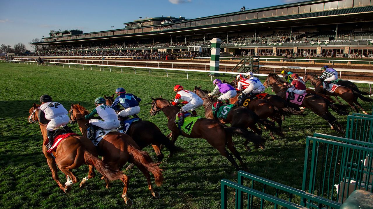 Smile Happy will race at Keeneland as a a qualifier for the Kentucky Derby (Jonathan Palmer)