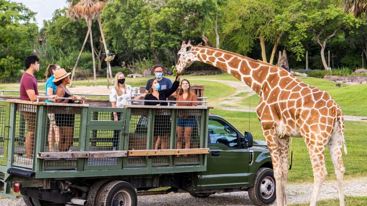 safari zoo in florida