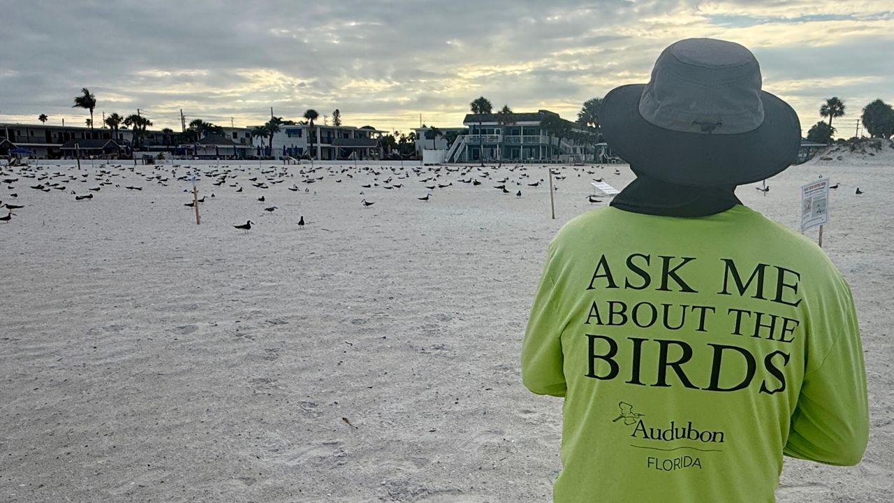 Sharing the seashore with nesting sea birds made easier by education-driven outreach