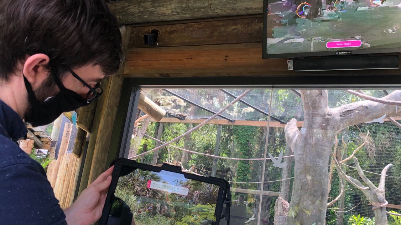 Brevard Zoo has a new augmented reality experience that was created by Falcon's Creative Group. (Allison Walker Torres/Spectrum News 13)