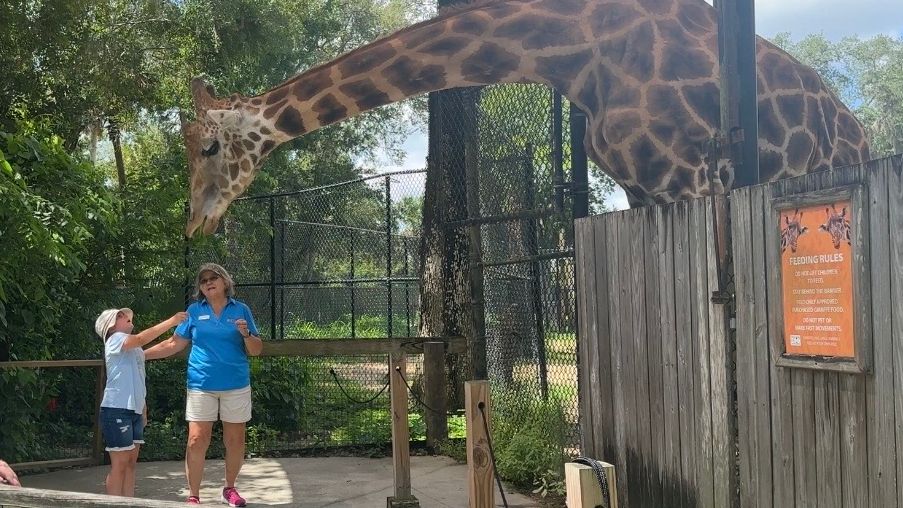 The zoo, home to about 350 animals, celebrated Independence Day with themed enrichment activities. (Spectrum News 13/Destiny Wiggins)
