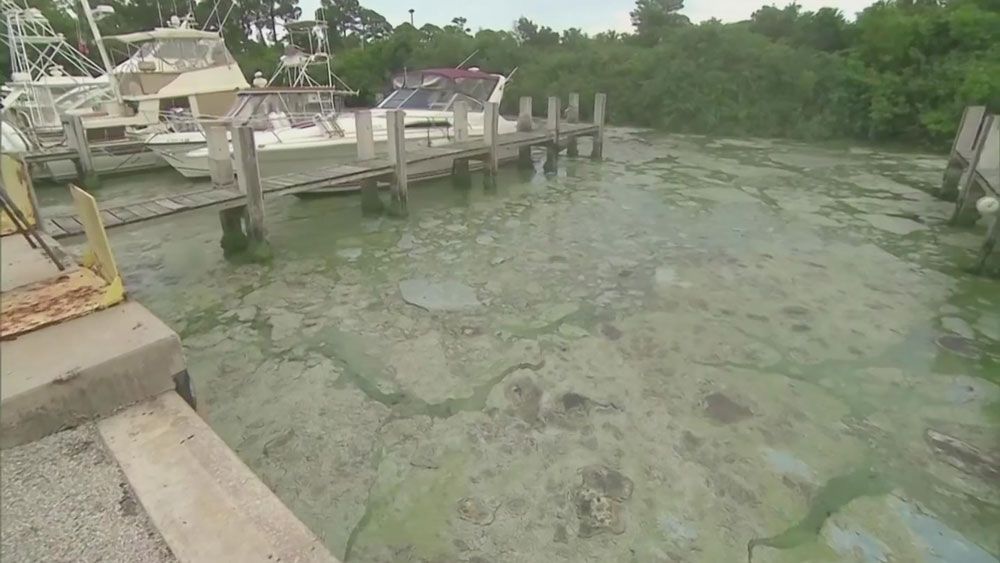 Florida's toxic algae crisis grows, impacting 7 counties