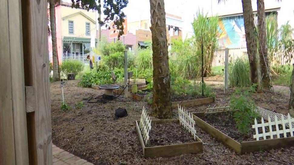 New Florida Law Allows Residential Vegetable Gardens