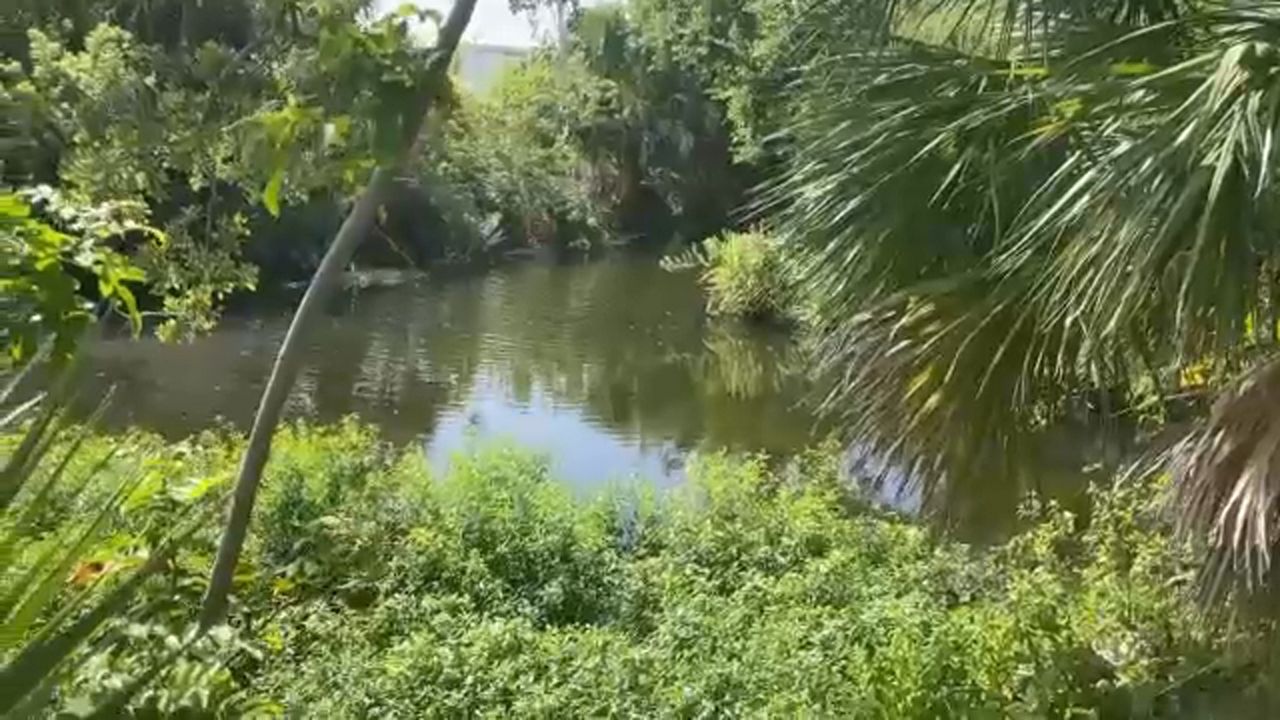 Sarasota County 6 Malaria Cases, Mosquito Spray