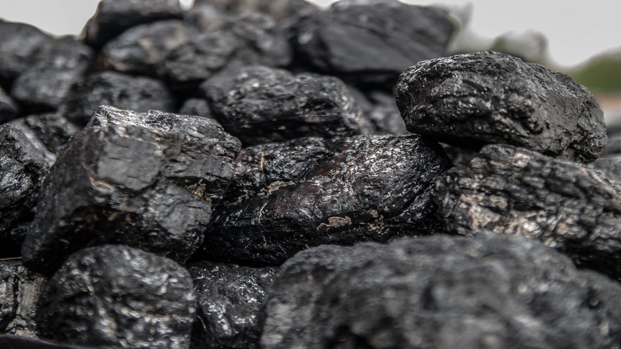 Lumps of coal. (File Photo)