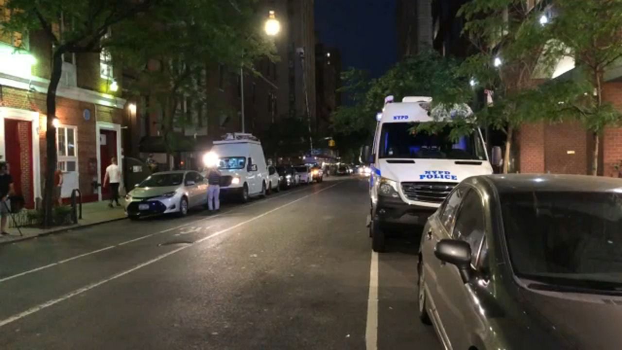 Cars parked on a city street, near some trees. White NYPD vans are parked near them.