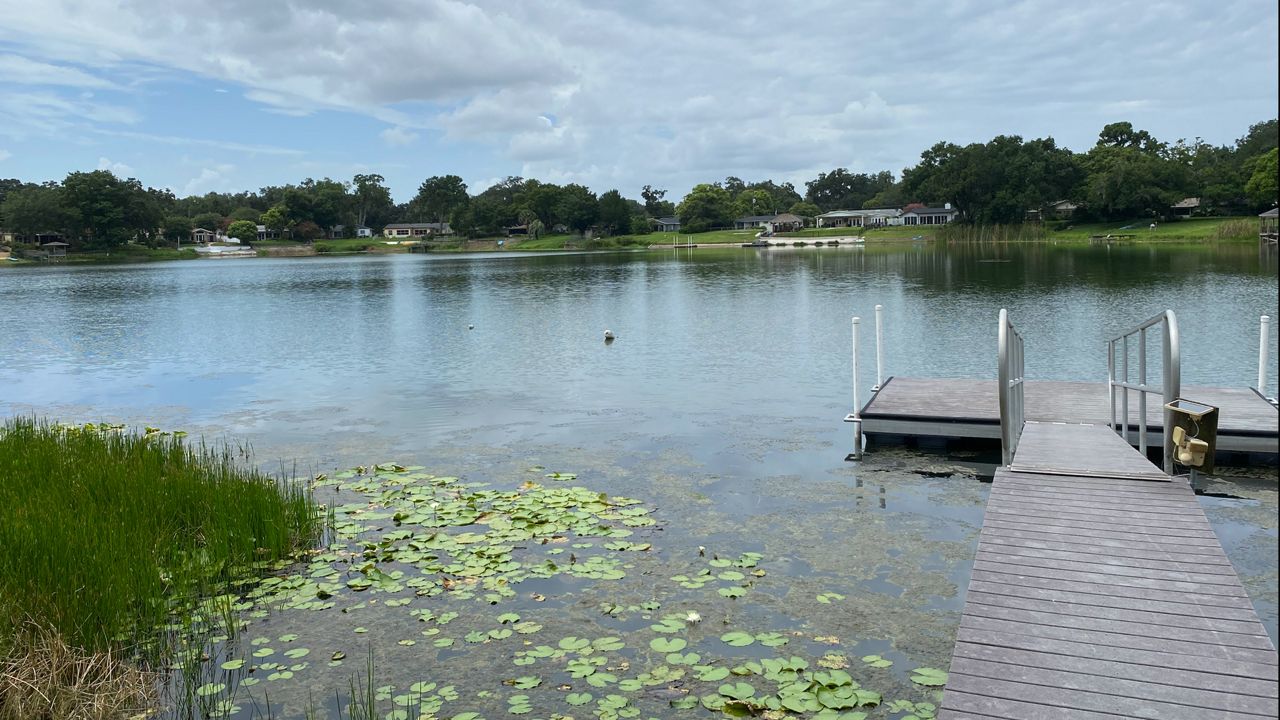 Blue-green algae warnings issued for 4 Central Florida lakes