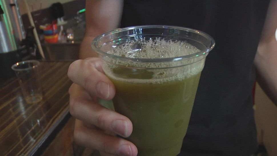 A popular drink across the Bay area, Kava and Kratom, is drawing FDA attention. (Spectrum Bay News 9 image)