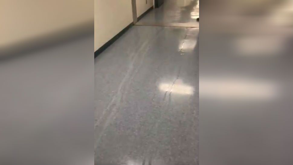 Sewage leak at the Williamson County Jail and Justice Center on Thursday, July 12, 2018. (Courtesy: @SheriffChody)