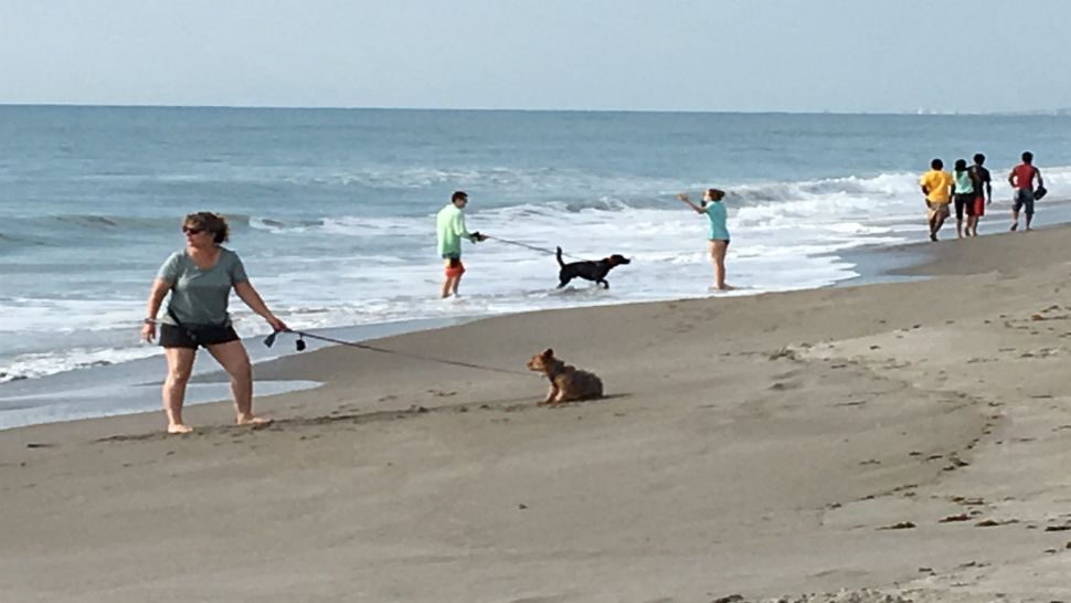 Starting on July 15th for the next six months, dogs are allowed on the beach from 4th St S to Northside of Murkshe Park from 6-10 am and 5-7 pm (Krystel Knowles, staff).
