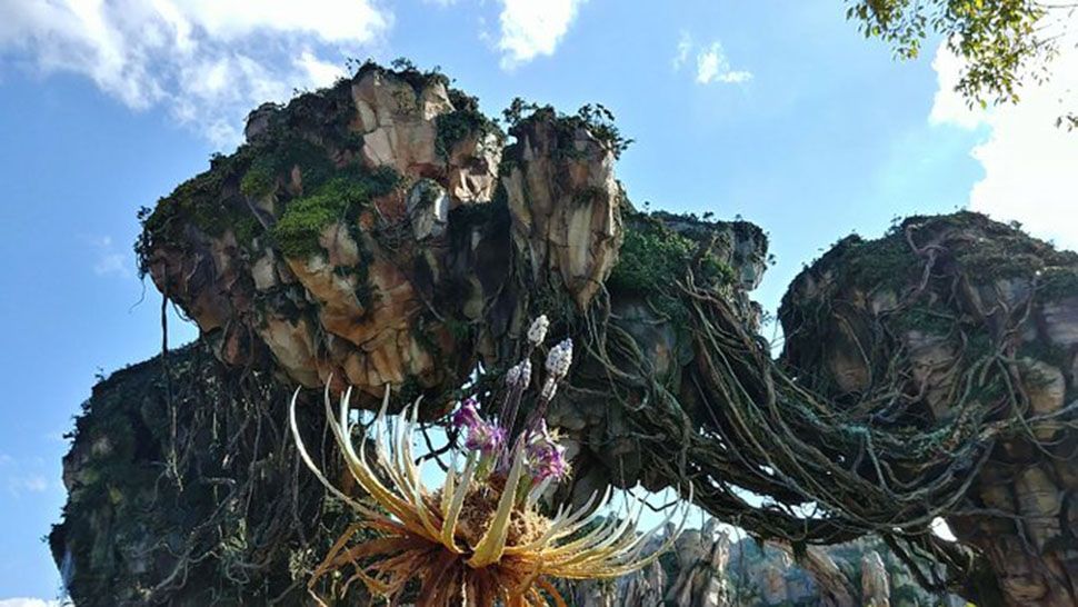 Pandora-The World of Avatar at Disney's Animal Kingdom. (Ashley Carter/Spectrum News)
