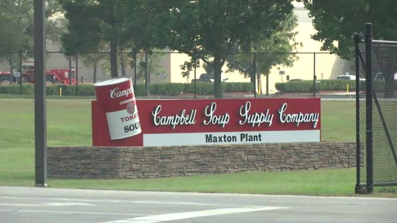 Maxton plant