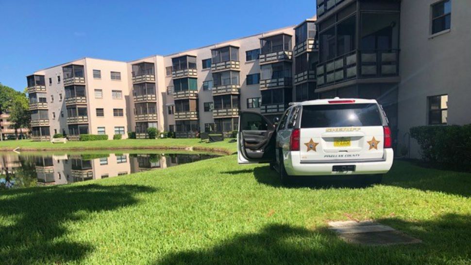 A man's body was recovered in a pond behind a condominium building Sunday morning in St. Petersburg. No foul play is suspected. (Spectrum Bay News 9)