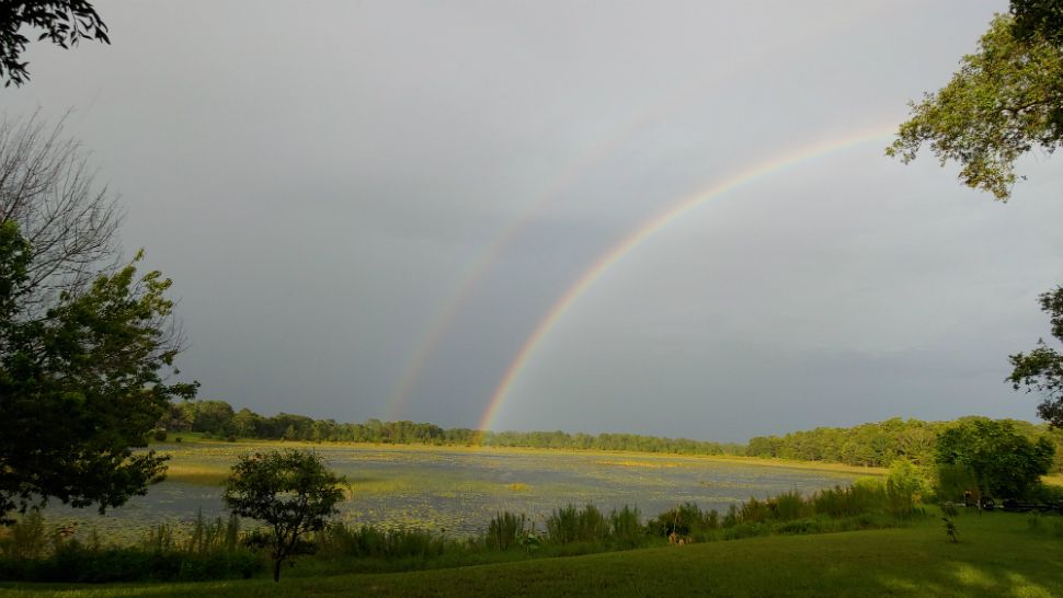 Sent to us with the Spectrum Bay News 9 app: A double rainbow over Hog Pond in Spring Hill was one of many rainbows spotted in the Bay area after storms moved through Sunday afternoon. (Ron Kline/viewer)