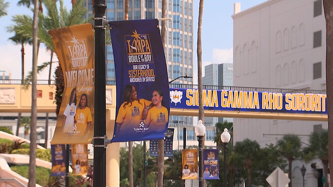 Tampa Bay tourism experts bringing in record number of D9 organizations